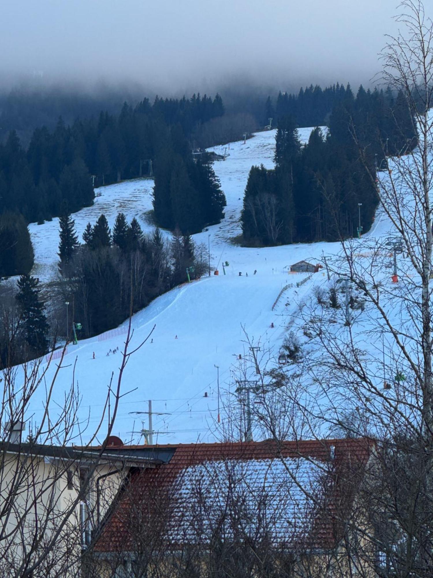 Alpen Hotel Martin Неселванг Екстериор снимка